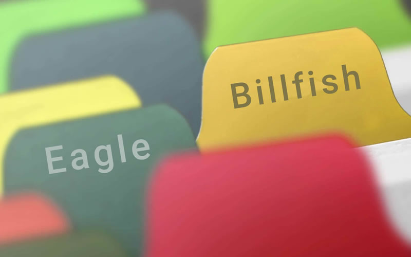 图片素材管理软件：Billfish和Eagle的双雄之争